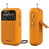 XHDATA D220 Radio portatile AM FM SW, Radio a Pile(AA), radio a onde corte, radiolina Portatile Piccola con ricezione eccellente per regalo, famiglia, anziani (arancione)