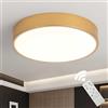 Schindora Plafoniera a LED a soffitto, Ø 50 cm metallo 39 W lampada da soffitto controllo della luce regolabile cucina lampada circolare lampade da soffitto soggiorno per camera da letto sala da