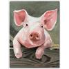 James Coates - Poster da parete con stampa artistica su maiale, 40,6 x 30,5 cm (A3)
