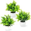 PASCH® Set di 3 piante artificiali come reali (18 cm) in vasi di ceramica bianca, piccole piante artificiali in vaso, piccole piante artificiali in vaso, mini pianta artificiale in vaso