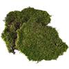 Christmas Decoration Muschio Naturale a Tappeto per Presepe 350gr