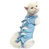 BKEPDY Body Gatto Post Operatorio Cat Professionale Recupero Vestito per Addominali ferite o malattie della Pelle Alternativa Dopo Un Intervento Chirurgico Wear Home Abbigliamento