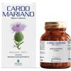 Promopharma Cardo mariano monoconcentrato - Integratore depurativo e antiossidante, 50 capsule