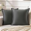 Serento Federe Confezione da 2 Decorativi Copricuscini Fodere di Velluto 45x45cm Quadrate Cuscino Grigio Scuro Moderni Lusso Stile Cuscini per Divano Sedia Cuscini Camera da Letto Cuscini Arredo