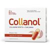 VITASLIM INNOVE Srl COLLANOL 20CPS