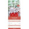 Alpha Edition Family Planner Kittens 2025 - Calendari da parete della famiglia 19,5 x 45 cm
