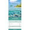 Alpha Edition Family Planner Dream Destinations 2025 - Calendari da parete della famiglia 19,5 x 45 cm