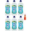 San Pellegrino 6x RIO Bum Bum Pavimenti, detergente per pavimenti con alcool, profumo di Brezza Marina, 1000ml + 1x Gingerino Recoaro Aperitivo Italiano 10cl IN OMAGGIO