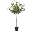 Flair Flower Albero di ulivo artificiale con frutti neri, verde oliva su tronco, 80 cm, pianta artificiale mediterranea, albero decorativo, pianta Toscana meridionale, 80 cm