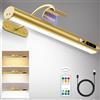 Hapfish Applique da parete ricaricabile con Sensore di Movimento, Luce specchio bagno senza fili con telecomando e calamita, wireless wall light, lampada LED parete per fotografica, muro, interno