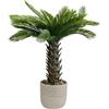 Kare Pianta decorativa di design Cycas, verde, anallergica, facile da pulire, senza polline o muffe, oggetto decorativo per soggiorno, grande pianta artificiale, con vaso, 70 x 55 x 55 cm (altezza x
