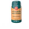 Erba Vita Crisantello Americano Integratore Fegato 60 Capsule