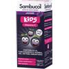 Named Sambucol Kids Integratore Per Il Supporto Del Sistema Immunitario dei Bambini 120 ml