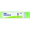 BOIRON BO.NAJA TRIPUDIANS 5CH TUBO - BOIRON - 800110367
