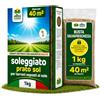Albagarden - Semi Prato Resistente Alla Siccità - 40m² - Sementi Erba per Tappeti Erbosi per Zone Soleggiate - Calpestabile - Rapida Crescita per ogni tipo di Terreno