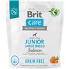 BRIT Care Grain-free Junior Large Breed con salmone 1kg