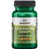 Swanson Lactobacillus Gasseri 3 Billion CFU (60 Capsule)
