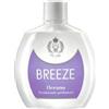 BREEZE - deodorante squeeze oceano 100 ml