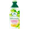 L'Angelica - shampoo fortificante per capelli uso frequente con Luppolo E Semi Di Miglio 250 ml