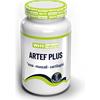 WHY NATURE ARTEF PLUS Integratore per articolazioni 60cpr