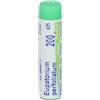 Boiron Eupatorium Perfoliatum 200CH Granuli - Contenitore Monodose
