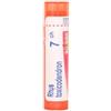 Boiron Rhus Toxicodendron 7CH Rimedio omeopatico 80 granuli