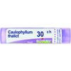 Boiron Caulophyllum Thalictroides 30CH 80 Granuli - Contenitore Multidose