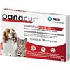 Msd Animal Health Panacur Forte 500 mg 10 compresse veterinarie per cane e gatto