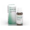 Biologische Heilm. Heel Gmbh Cocculus-heel medicinale omeopatico gocce orali 30 ml