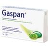 Dr. Willmar Schwabe Gmbh&co. Kg Gaspan 14 capsule molli gastroresistenti