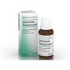 Biologische Heilm. Heel Gmbh Selenium Homaccord Soluzione orale in gocce 30 ml