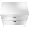 Alpes 100C-CONTENIMENTO-2 LIBERI IN CUCINA, Elemento Contenimento, mobile cucina, acciaio inox, larg. 100cm, prof. 65cm, alt. 90/95cm, 2 cassetti 90cm