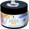 VERITAS - Arnica per Cavalli Uso Umano, Arnica Gel Forte 90%, Naturale, Concentrata, ad Effetto Rapido con Artiglio del Diavolo, Sangue di Drago e Menta Piperita, Dermatologicamente Testata, 500 ml