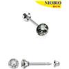 SANICO Srl Orecchini Niobio 191C Rosa Swaroski 4mm Inverness 1 Paio
