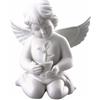 Rosenthal Angelo con vaso bianco opaco, 9999 cm