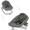 Hauck Sdraietta Alpha Bouncer Premium Dark Grey di Hauck
