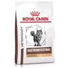 Royal Canin Veterinary Gastrointestinal Hairball | 2 kg | Alimento dietetico completo per gatti adulti | Per il supporto digestivo e la formazione di boli di pelo