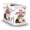 Royal Canin Ageing 12+ in salsa | 12 x 85 g | Alimento completo per gatti anziani a partire dai 12 anni | Può sostenere la salute dei reni e delle articolazioni
