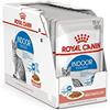 Royal Canin Indoor Sterilised in Sauce | 12 x 85 g | Alimento completo per gatti adulti che vivono in casa | Per gatti sterilizzati | Bocconcini in salsa