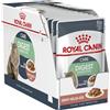 Royal Canin Digest Sensitive Wet Food | 12 x 85g | Alimento completo per gatti adulti | Può aiutare a ridurre l'odore delle feci | Bocconi in salsa