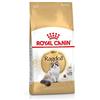 Royal Canin Cibo Secco per Gatti Adulti Ragdoll - 10000 gr