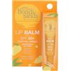 Bondi Sands Bondy Sands Balsamo Labbra Mango SPF50+ 10 g Protezione per le labbra