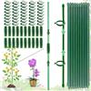 FENGJIAHUI (120 PCS) Tutori per Piante, 20 Pezzi Sostegno per Piante, Viene Fornito con 40 Moschettoni con 20 Tubi di Srolunga, Supporti per Orchidee, Bastoncini Sostegno Piante, Tutori per Piante
