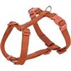 Trixie Pettorina premium ad H XS-S cm 30-40/10 mm ruggine
