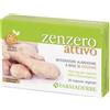 ZENZERO 30CPS