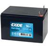EXIDE Batteria TUDOR TK143 - AH 14 / A 80 - L 150, P 100, H 100 - Polo SX