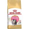 Royal Canin C-58428 Kitty Persian - 10 kg