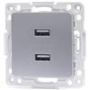 Blendend Pezzo adattatore per 2 prese USB tipo tedesco e francese, in elegante finitura argento. Ideale per caricare dispositivi in modo rapido ed efficiente ovunque.