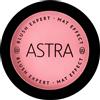 ASTRA - Blush Expert Mat Effect - Blush N.01 Nude Rose