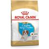 Royal Canin Cavalier King Charles Puppy | 1,5 kg | Crocchette per cuccioli | Può supportare le difese naturali e la salute del cuore | Potrebbe favorire la digestione
